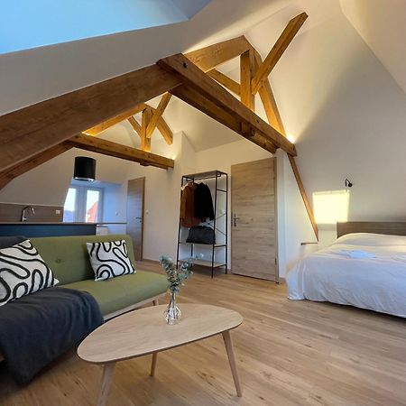 Appartement Moderne Et Spacieux, A 10 Min De La Gare Colmar Ngoại thất bức ảnh