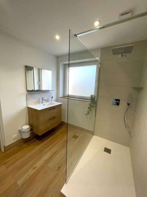Appartement Moderne Et Spacieux, A 10 Min De La Gare Colmar Ngoại thất bức ảnh