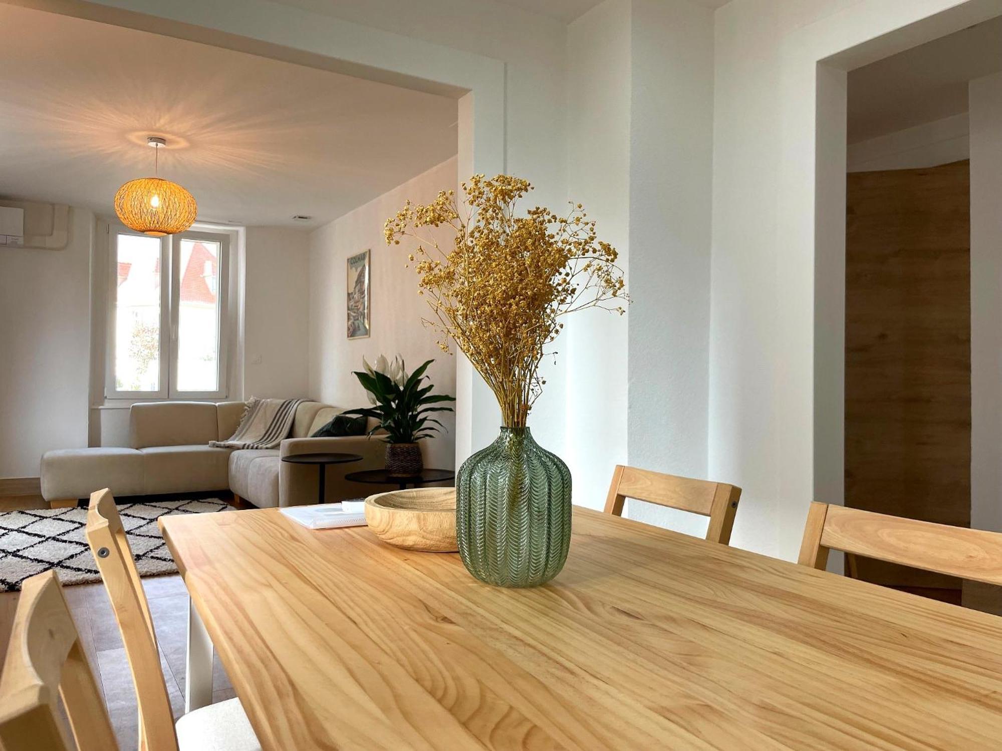 Appartement Moderne Et Spacieux, A 10 Min De La Gare Colmar Ngoại thất bức ảnh