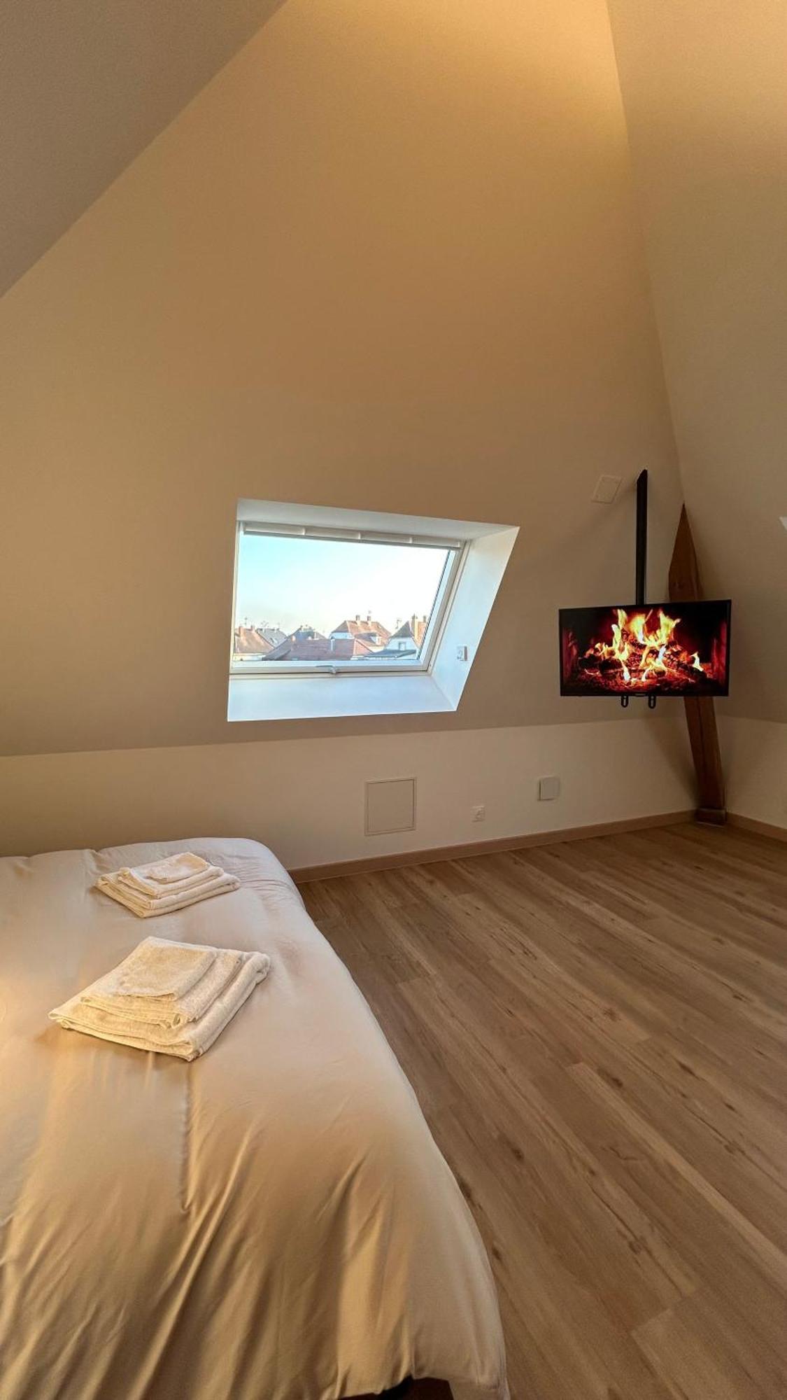 Appartement Moderne Et Spacieux, A 10 Min De La Gare Colmar Ngoại thất bức ảnh