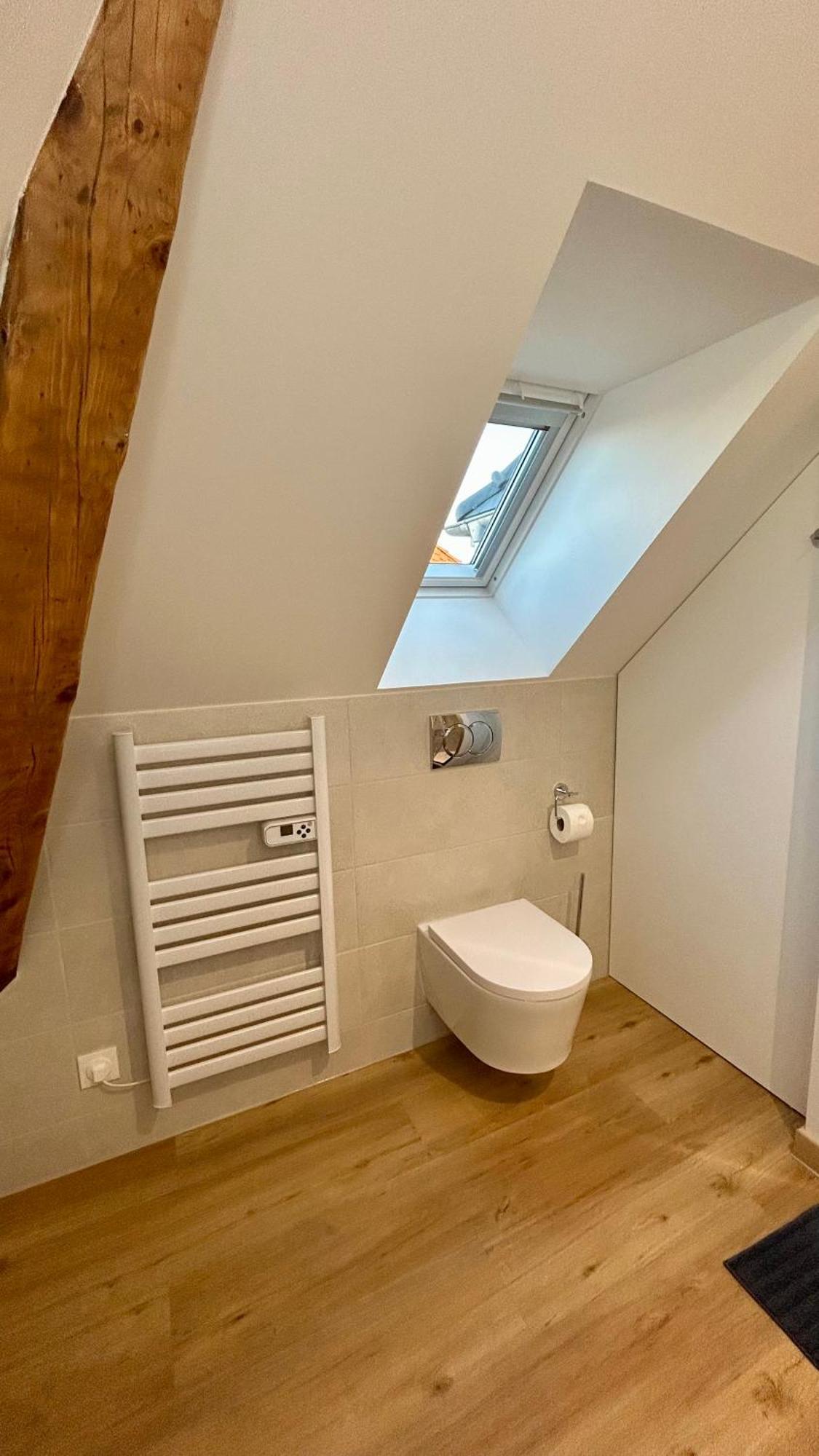 Appartement Moderne Et Spacieux, A 10 Min De La Gare Colmar Ngoại thất bức ảnh