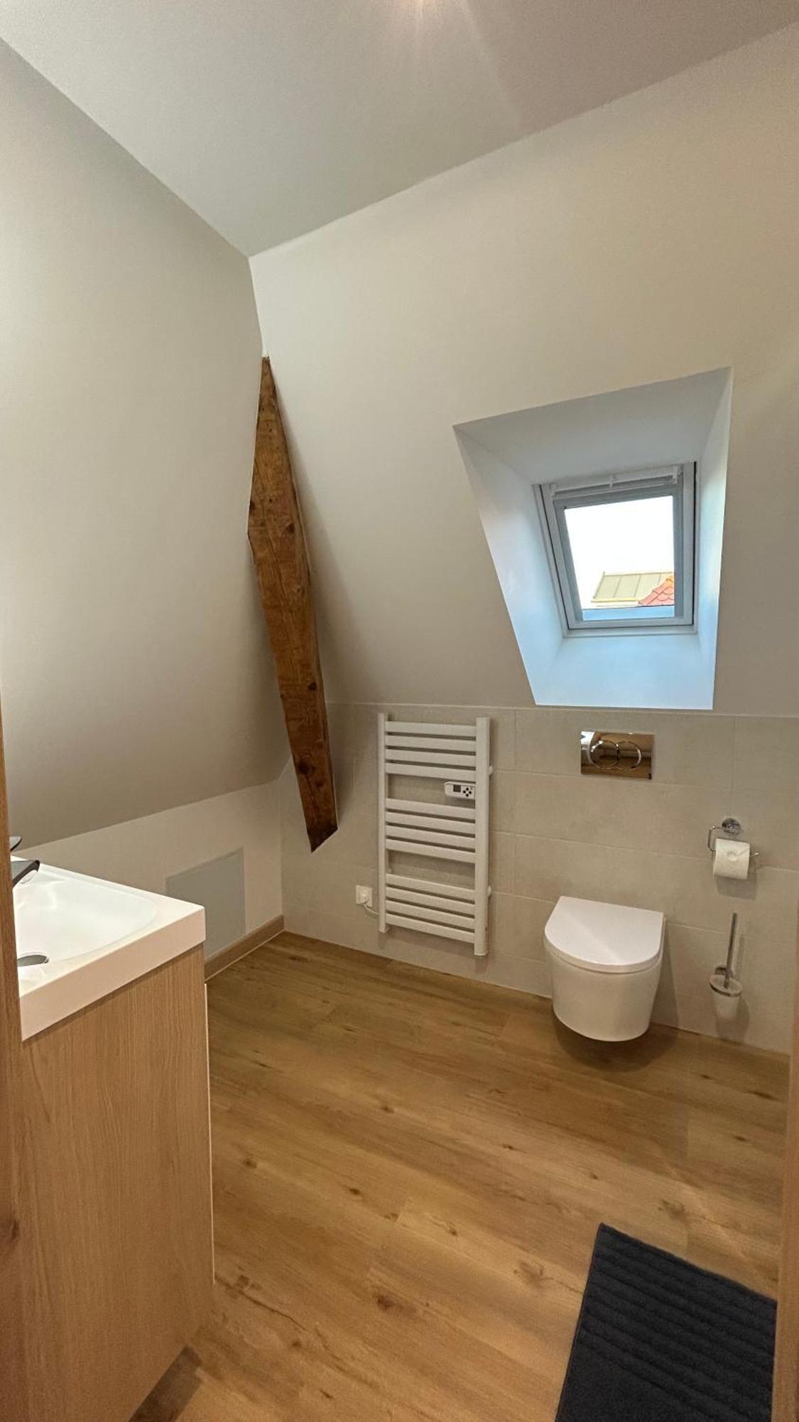 Appartement Moderne Et Spacieux, A 10 Min De La Gare Colmar Ngoại thất bức ảnh