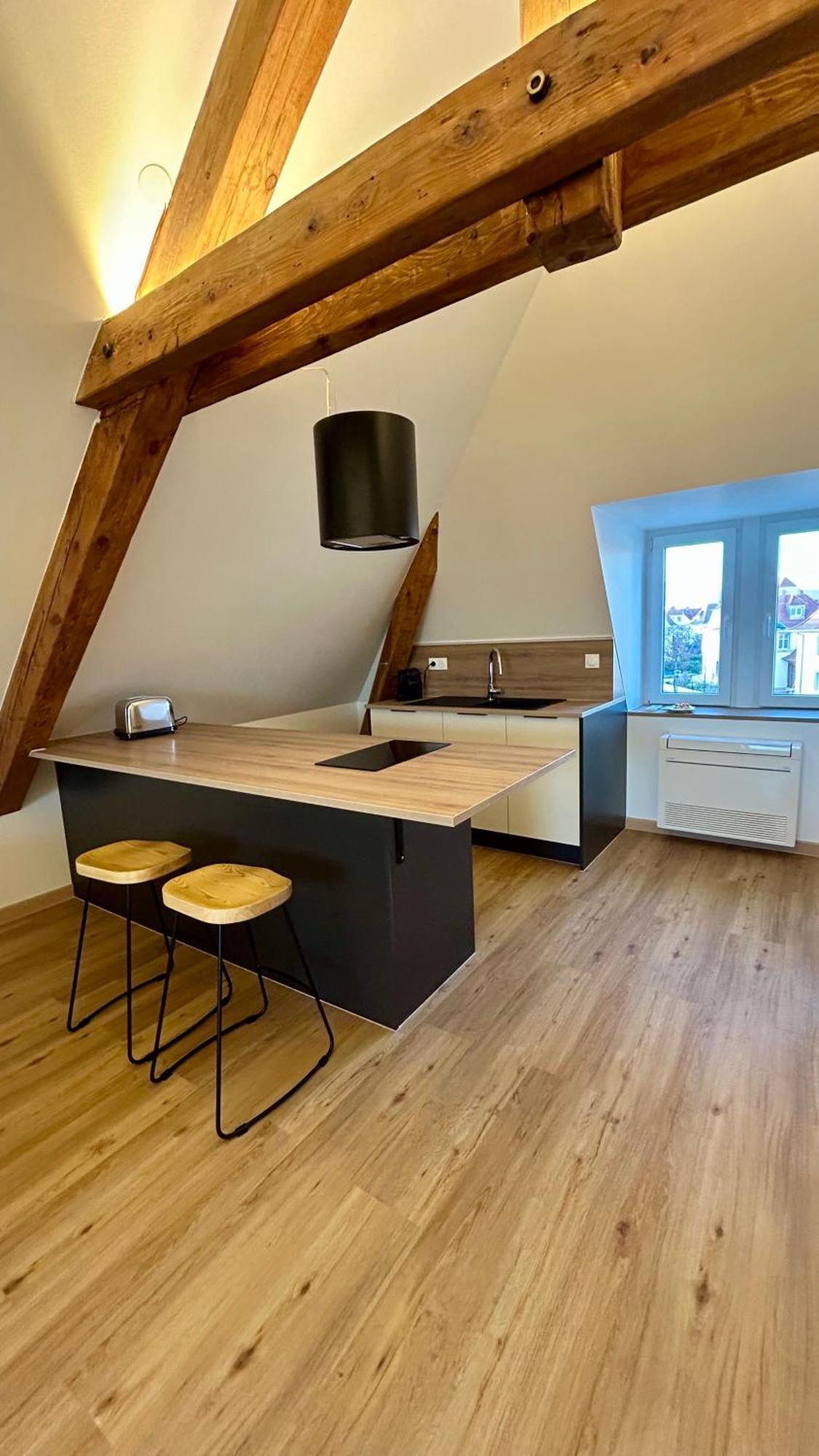 Appartement Moderne Et Spacieux, A 10 Min De La Gare Colmar Ngoại thất bức ảnh