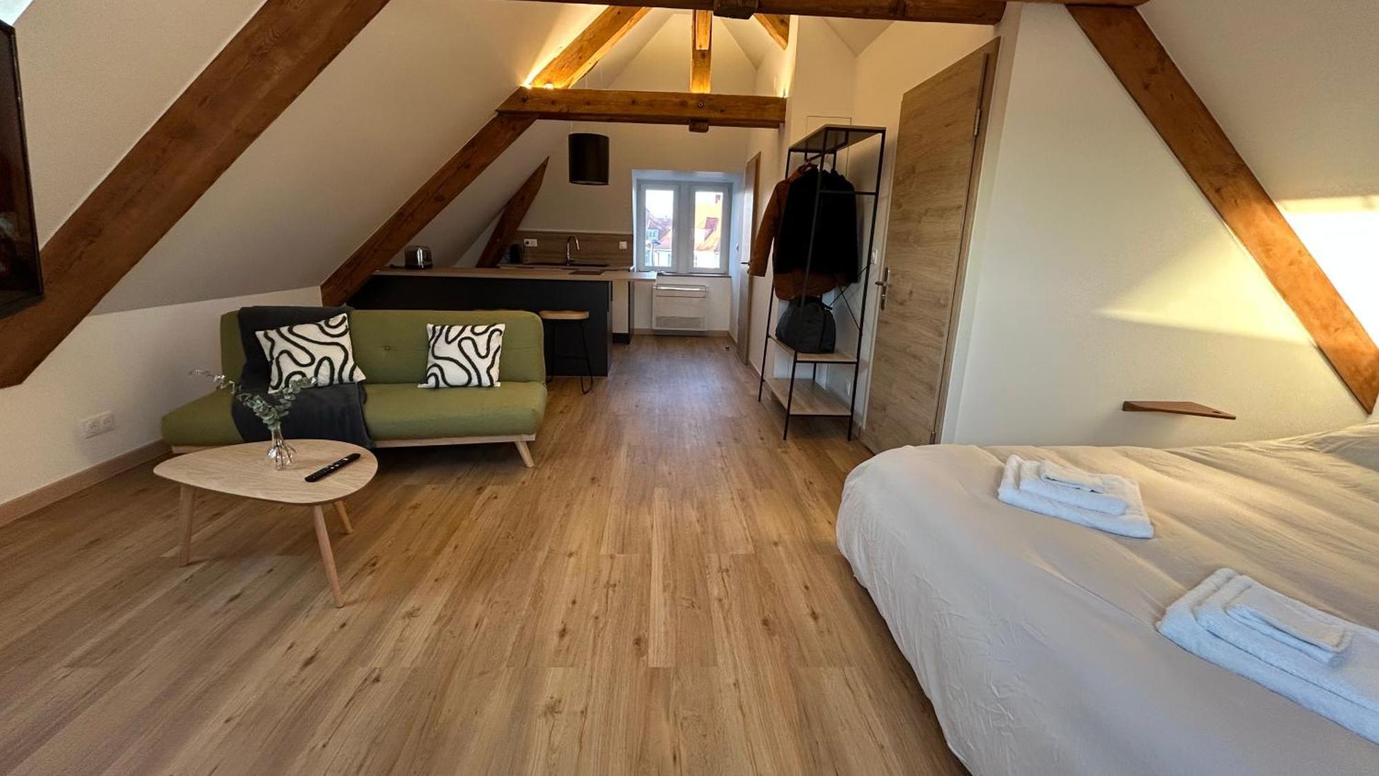 Appartement Moderne Et Spacieux, A 10 Min De La Gare Colmar Ngoại thất bức ảnh