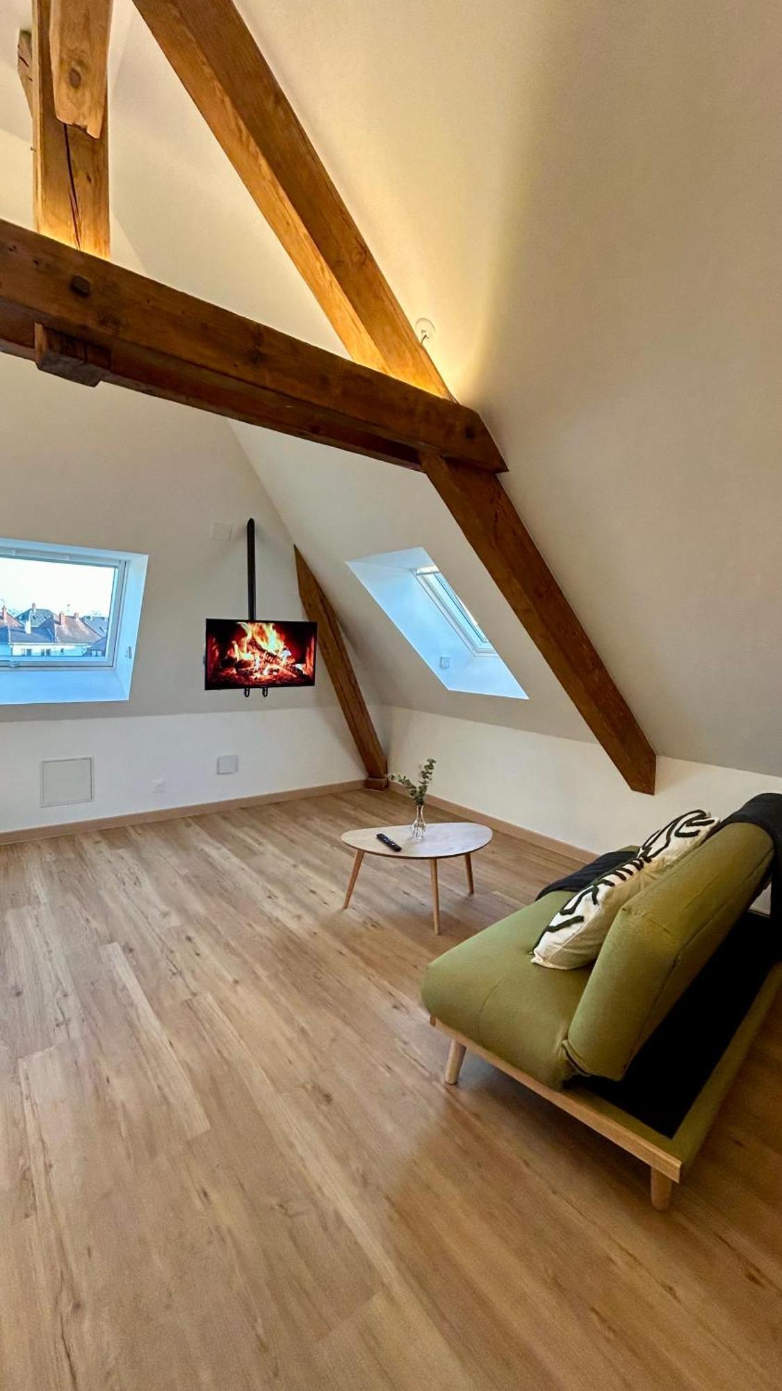 Appartement Moderne Et Spacieux, A 10 Min De La Gare Colmar Ngoại thất bức ảnh