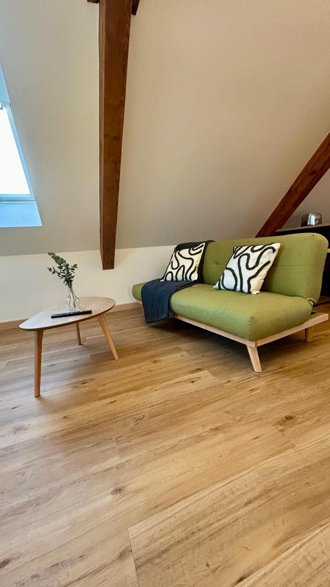 Appartement Moderne Et Spacieux, A 10 Min De La Gare Colmar Ngoại thất bức ảnh